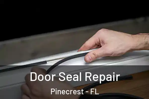 Door Seal Repair Pinecrest - FL