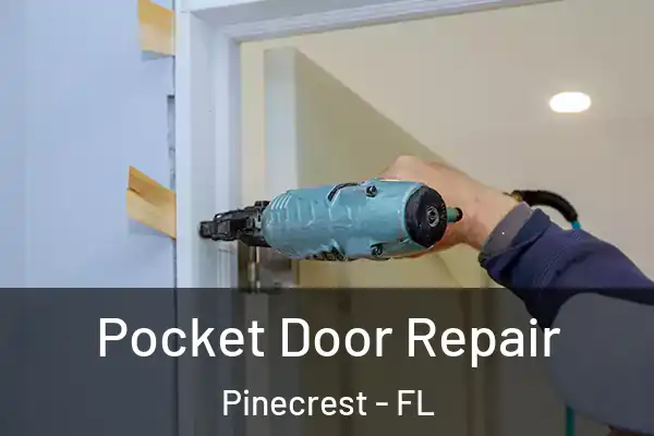  Pocket Door Repair Pinecrest - FL