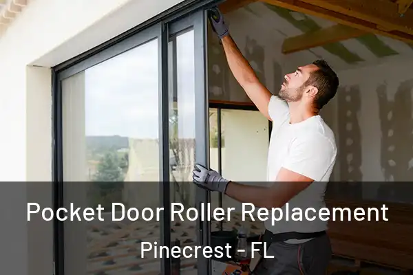 Pocket Door Roller Replacement Pinecrest - FL