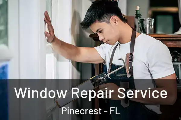  Window Repair Service Pinecrest - FL